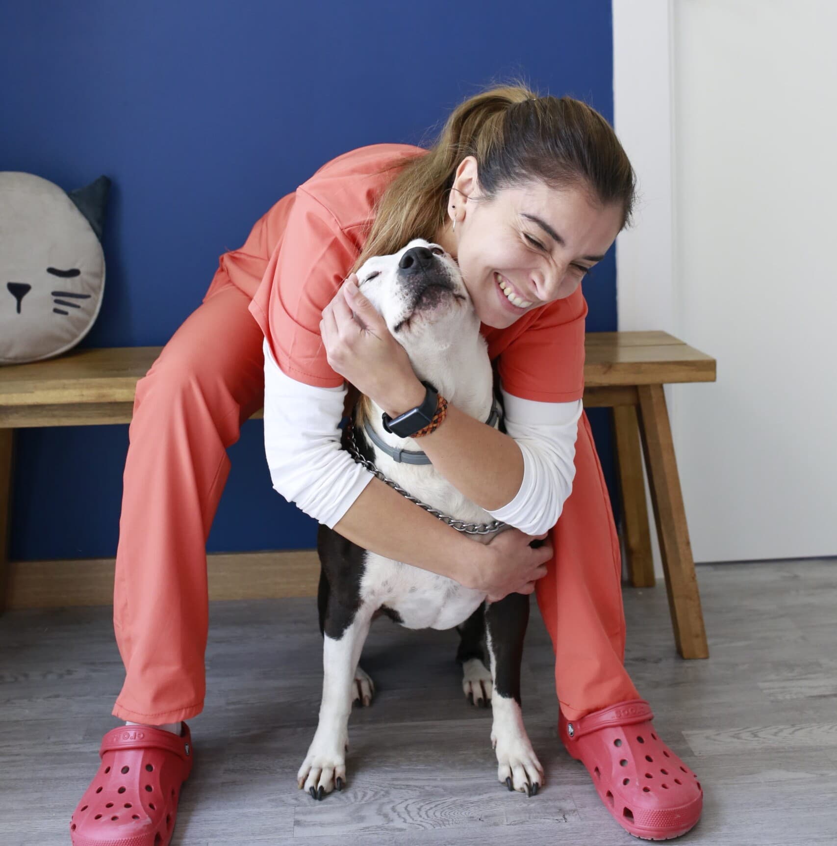 Servicios veterinarios