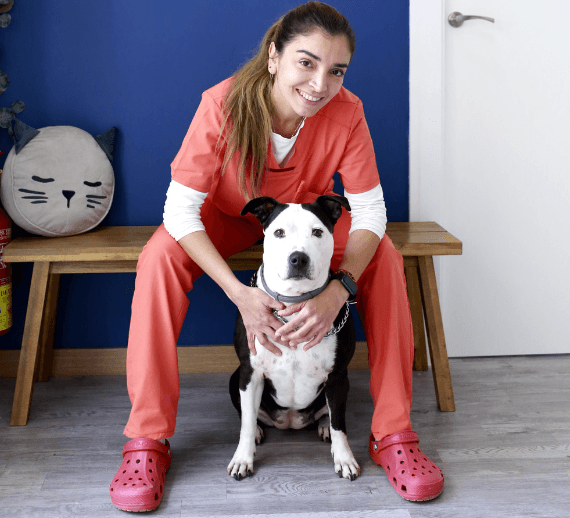 Veter Centro Veterinario